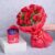 Imported Red Rose Flowers Bucket with Chocolates Pack